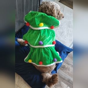 Christmas Tree Dog Costume